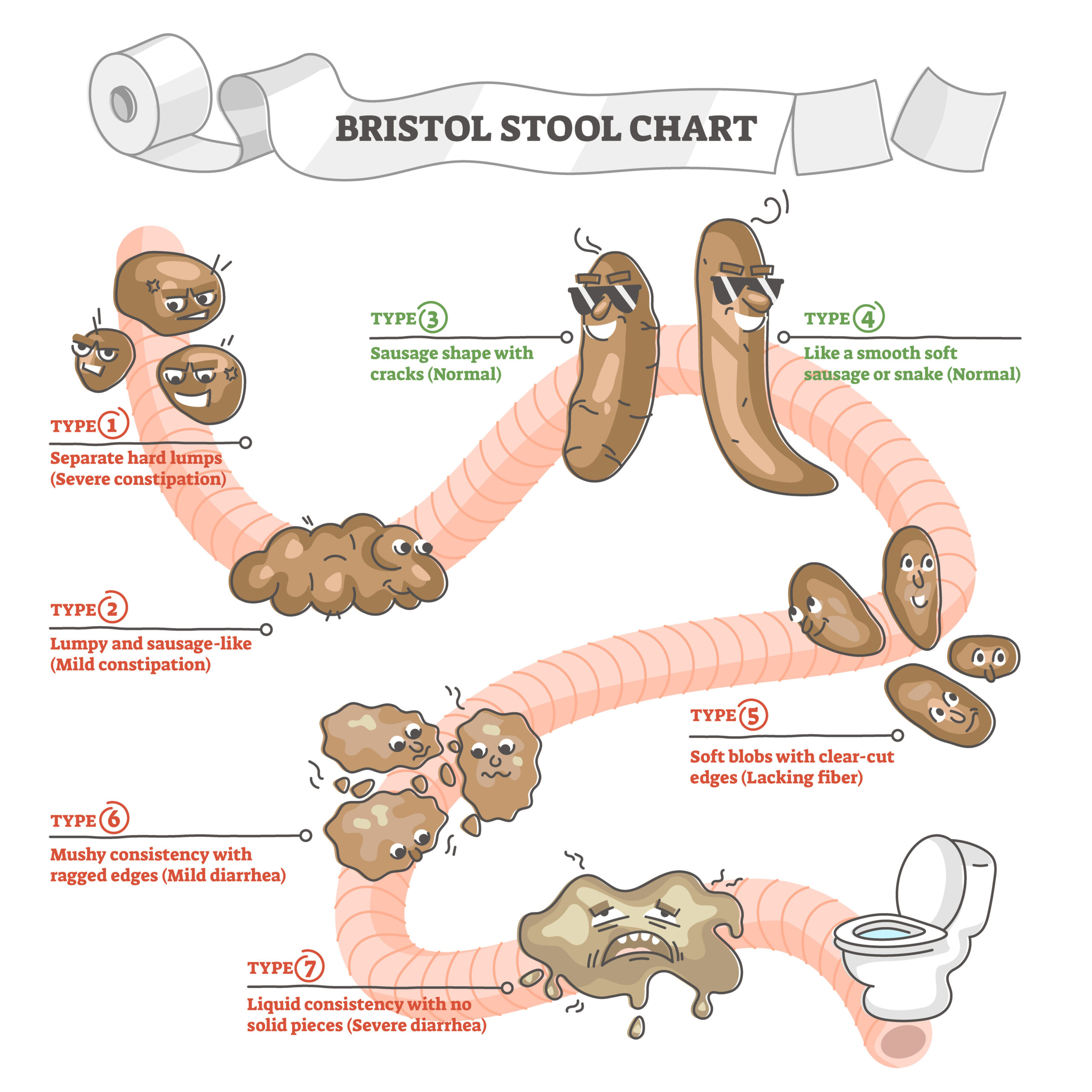 Bristol Stool Chart