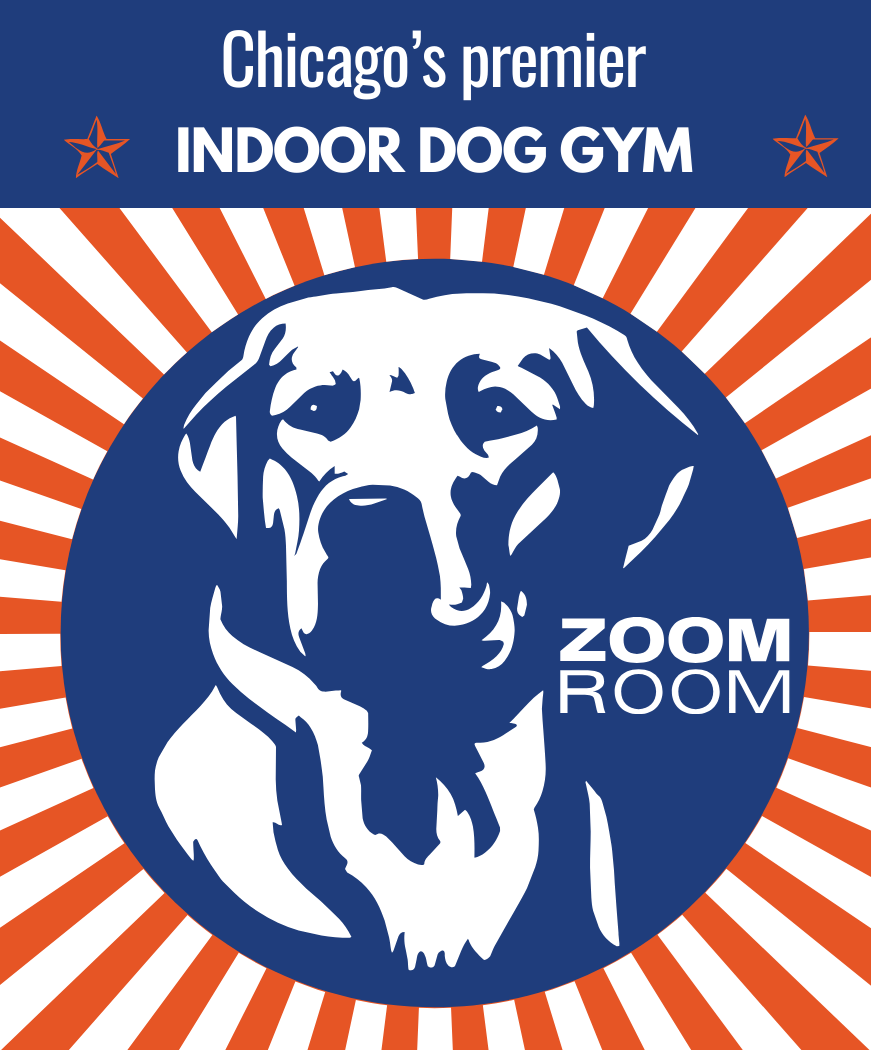 Zoom Room Chicago